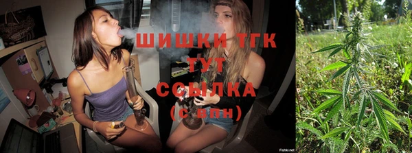 винт Верея