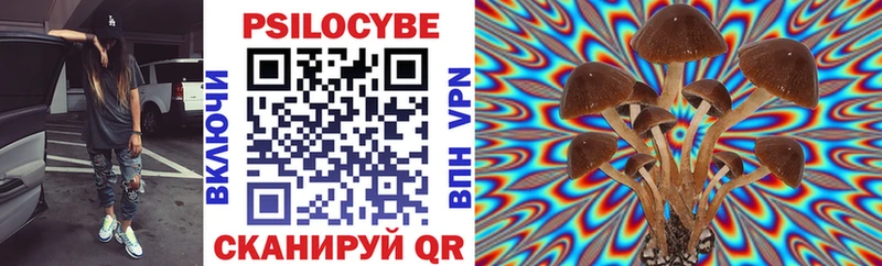Псилоцибиновые грибы GOLDEN TEACHER Южно-Сухокумск